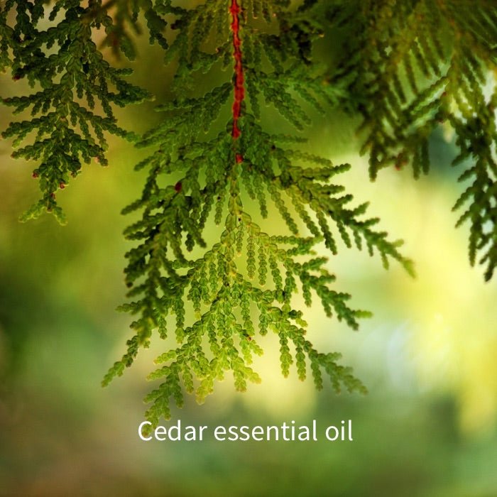 Cedar Castile Soap - Liquid Castile Soap - TriuneCastile.com - TriuneCastile