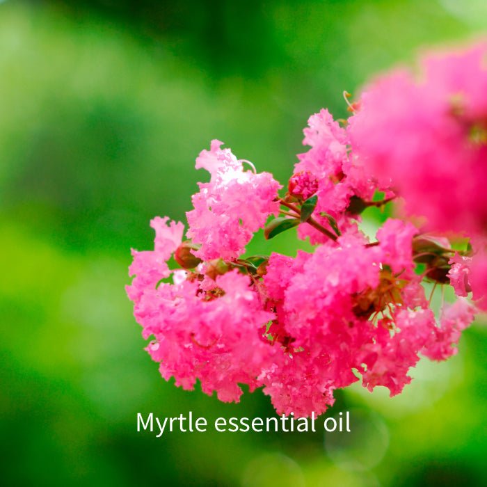 Myrtle Castile Soap - Liquid Castile Soap - TriuneCastile.com - TriuneCastile